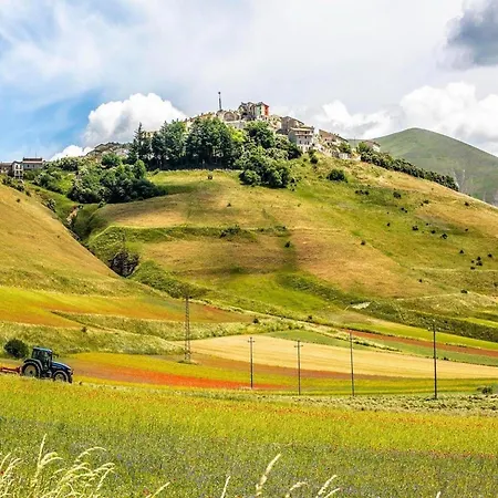 Near With Pool * Asís