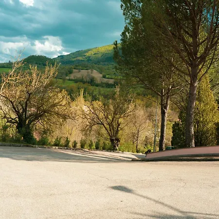 Near With Pool Asís